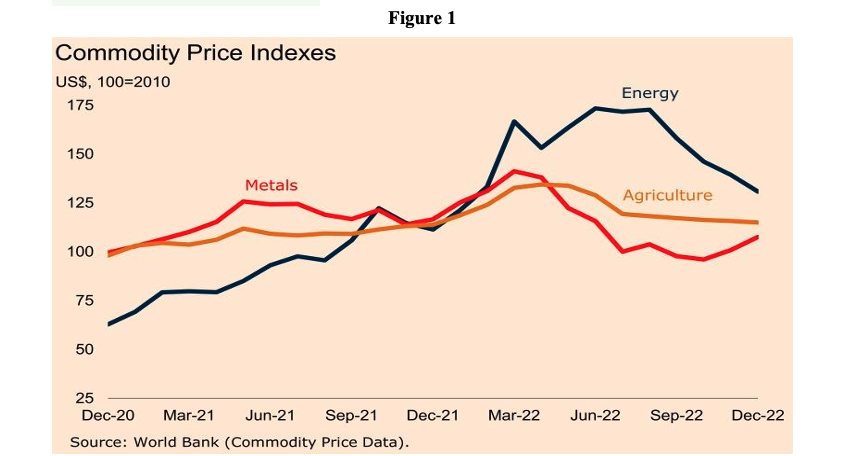 The parrot says that commodity prices will rise