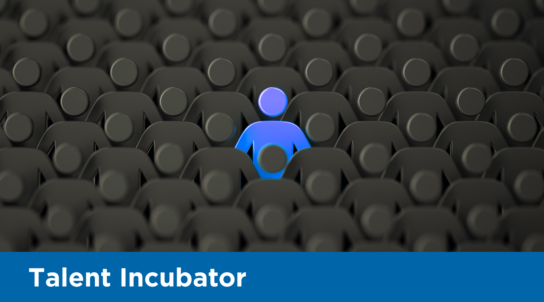 Talent Incubator