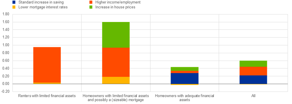 Effects of a 100-basis point cut in interest rates on consumption in the euro area, depending on household wealth