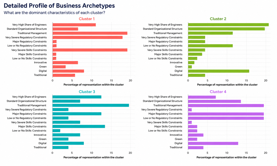 Detailed Profile of Business Archetypes