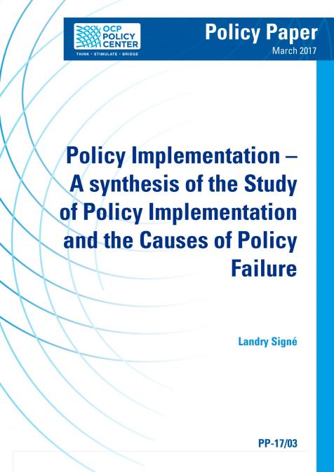 what is public policy implementation