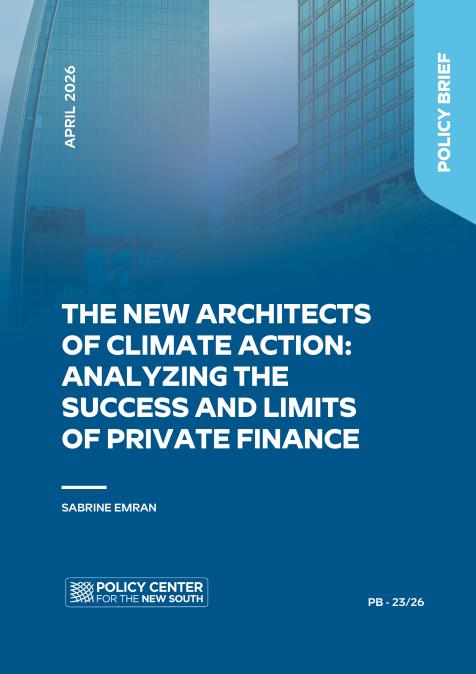 The New Architects of Climate Action: Analyzing the success and limits ...